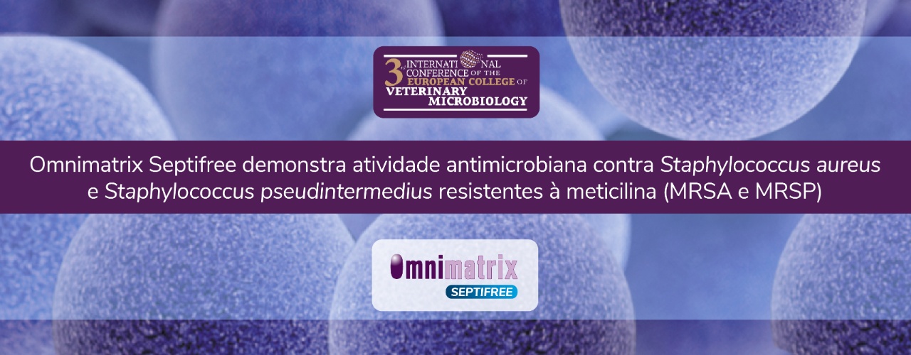 Omnimatrix Septifree demonstra atividade antimicrobiana contra Staphylococcus aureus e Staphylococcus pseudintermedius resistentes à meticilina (MRSA e MRSP)