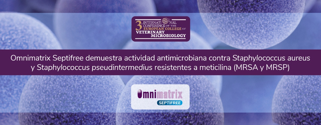 Omnimatrix Septifree demuestra actividad antimicrobiana contra Staphylococcus aureus y Staphylococcus pseudintermedius resistentes a meticilina (MRSA y MRSP)