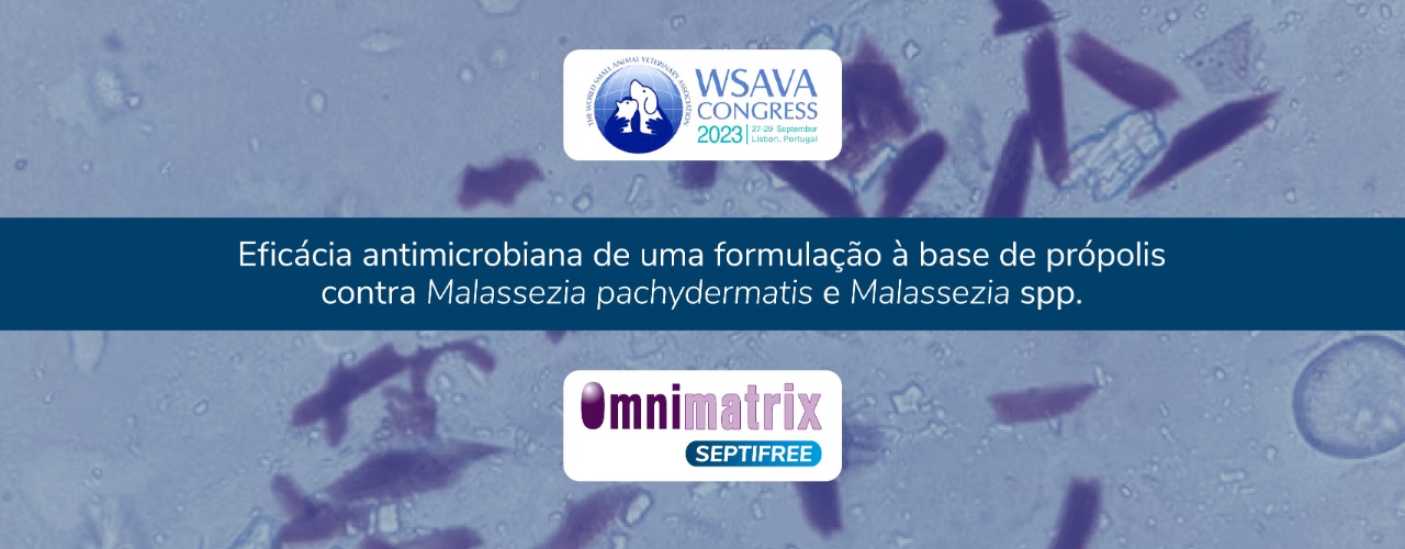Eficácia antimicrobiana de uma formulação à base de própolis contra <i>Malassezia pachydermatis</i> e <i>Malassezia spp.</i>